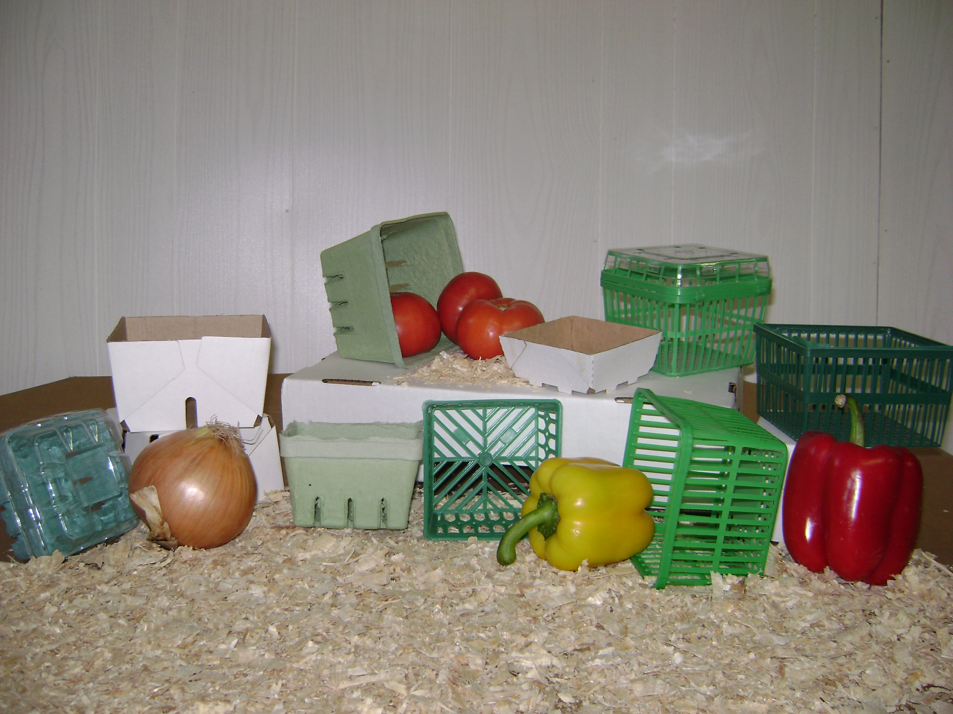 pic1.jpg